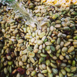 Gayo Arabica Grade 1 Full Washed