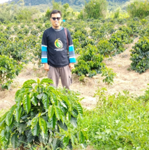 Gayo Coffee